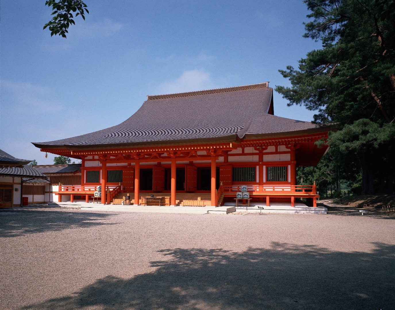 毛越寺の写真