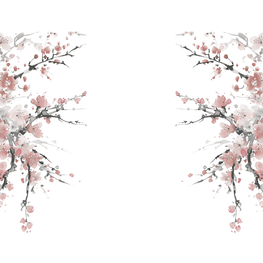 cherry blossom